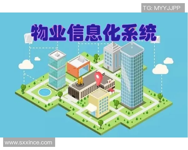 西安排球队运营革新探索：提升管理效率与竞技水平的全新路径