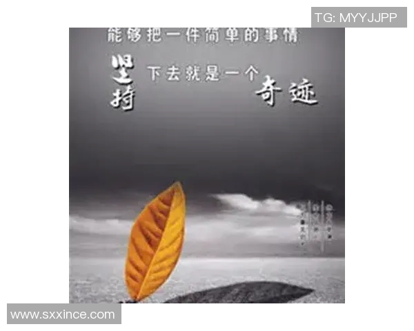 余嘉豪的奋斗历程与成长故事揭示了年轻人追梦的勇气与坚持