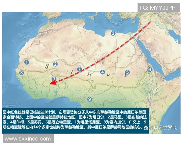 塞内加尔与韩国精彩对决直播时间及观看指南详解