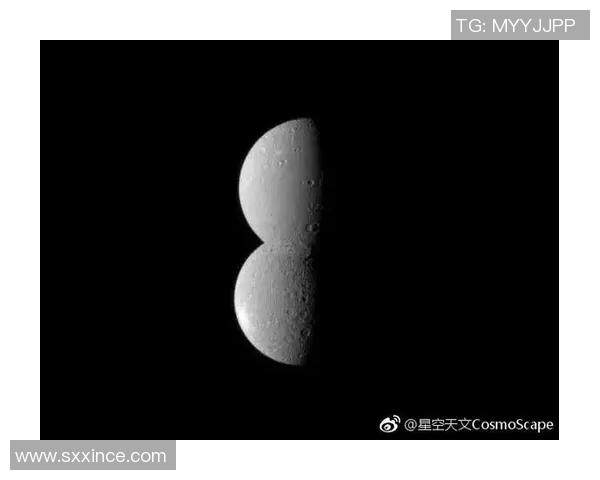 莫斯科土星与瑞亚赞的精彩对决揭示足球战术与团队精神的完美结合