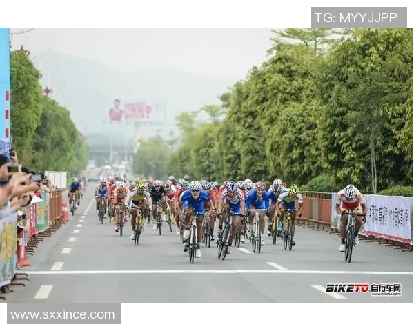 城市赛分析：LNG战队展现强大实力与团队合作的完美结合